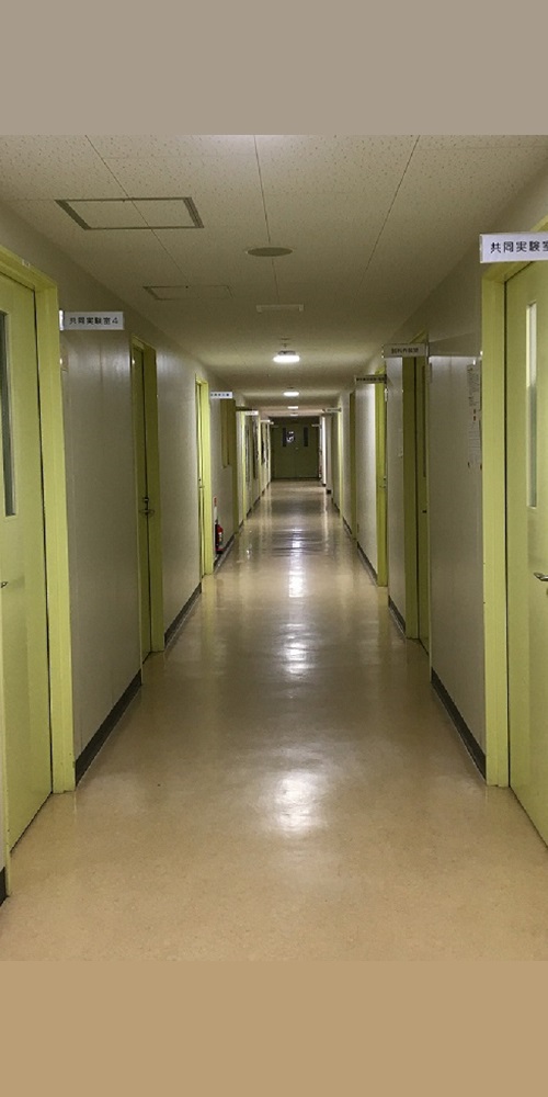 hallway